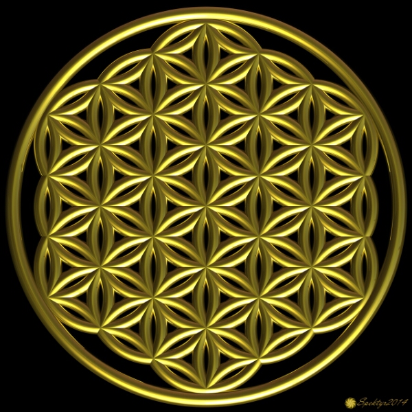 Flower Of Life.jpg