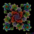 Flower Ballet
