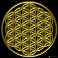 Flower Of Life