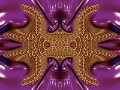 Fractal 14