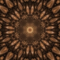 Fractal 211