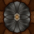 Fractal 212
