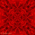 Kaleidoscopica 3
