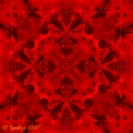 Kaleidoscopica 3a