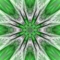Mandala Verde 2