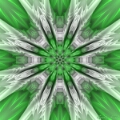 Mandala Verde 2