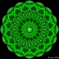 Mandala Verde