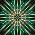 The Point Of Origin