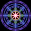 Concentric Large