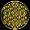 Flower Of Life Large